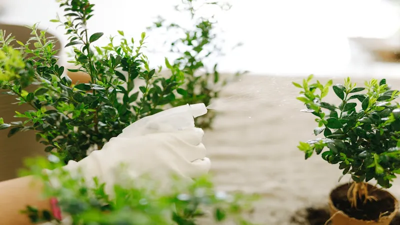 Manos con guantes cuidando hojas verdes en jardín soleado